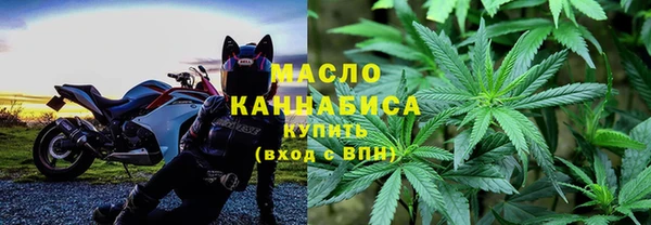 прущие грибы Алзамай